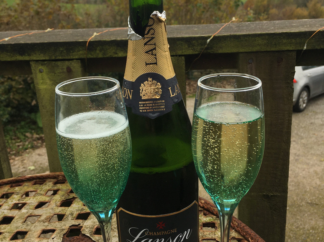 The Blue House Bed and Breakfast主图