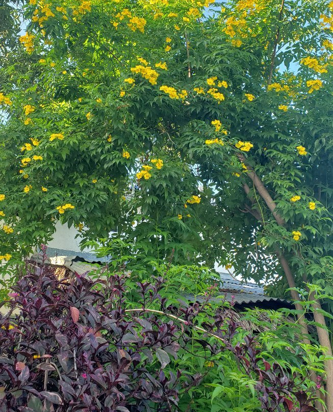 Hostal Dona Chava主图