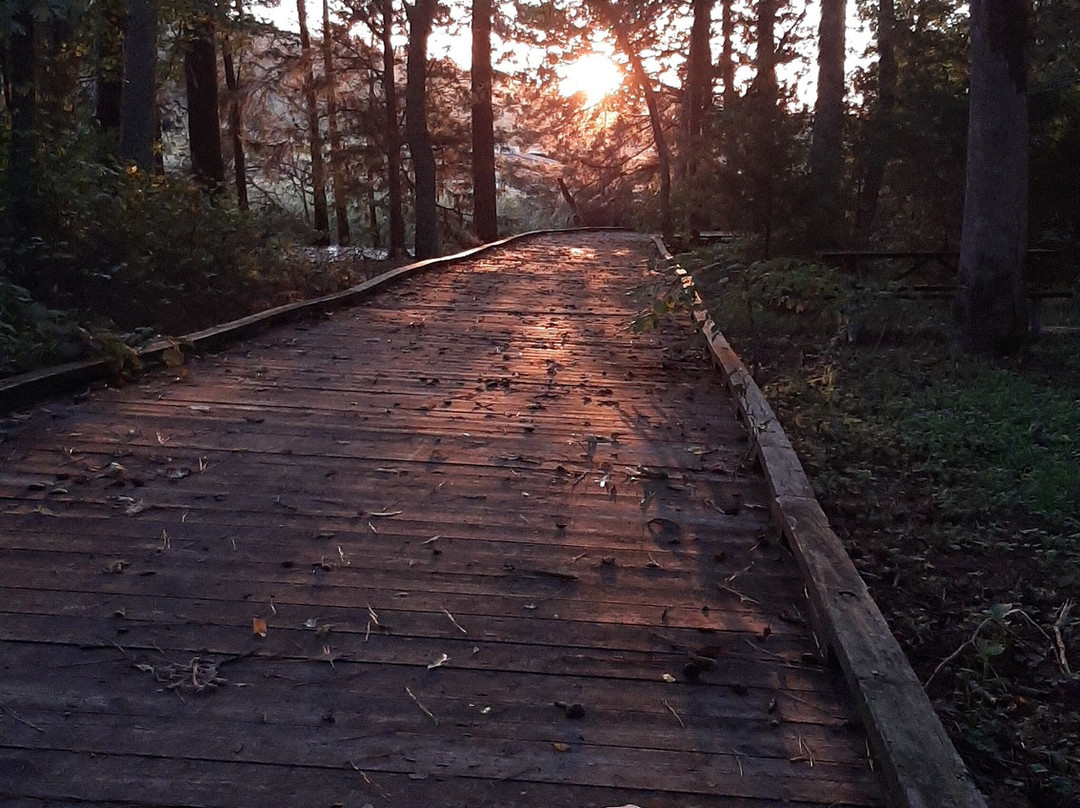 Belle Isle State Park景点图片