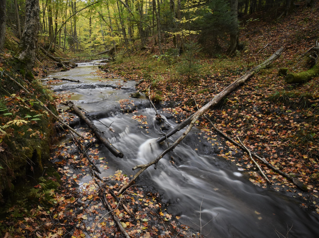 Mosquito Falls-缪尼辛必去景点