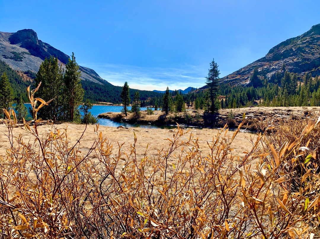 Tioga Lake-利韦宁必去景点