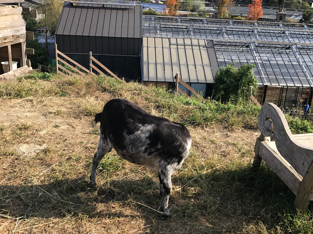 the Farm UNIVERSAL osaka-茨木市必去景点