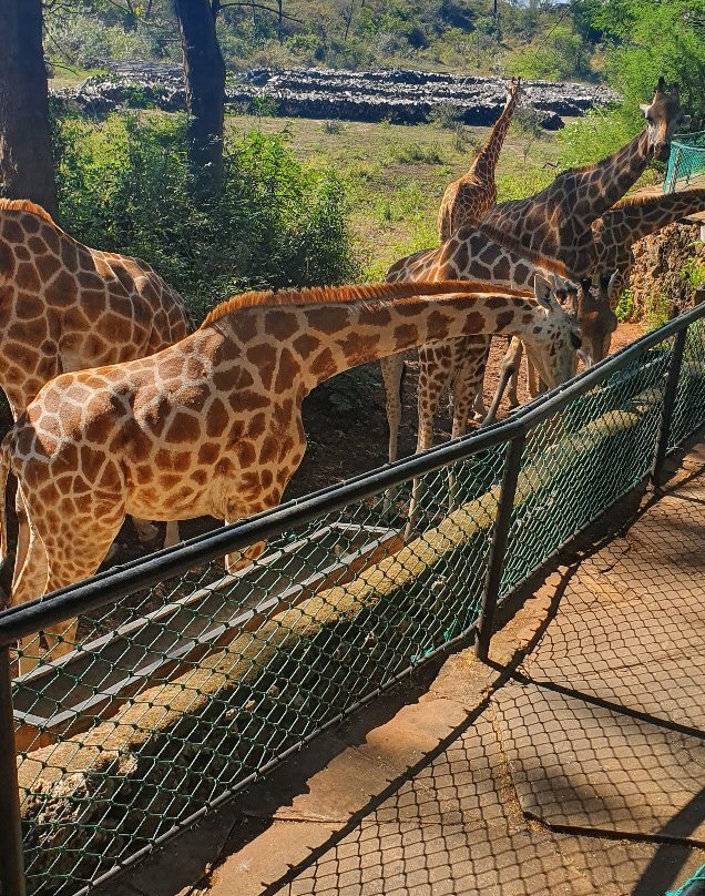 Bamburi Nature Trail景点图片