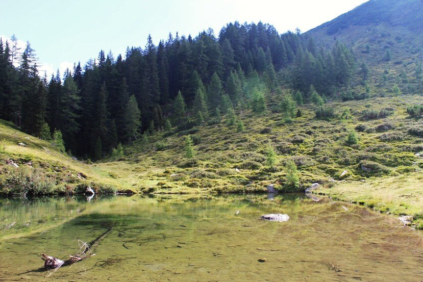 Passeggiata al lago Seebergsee景点图片