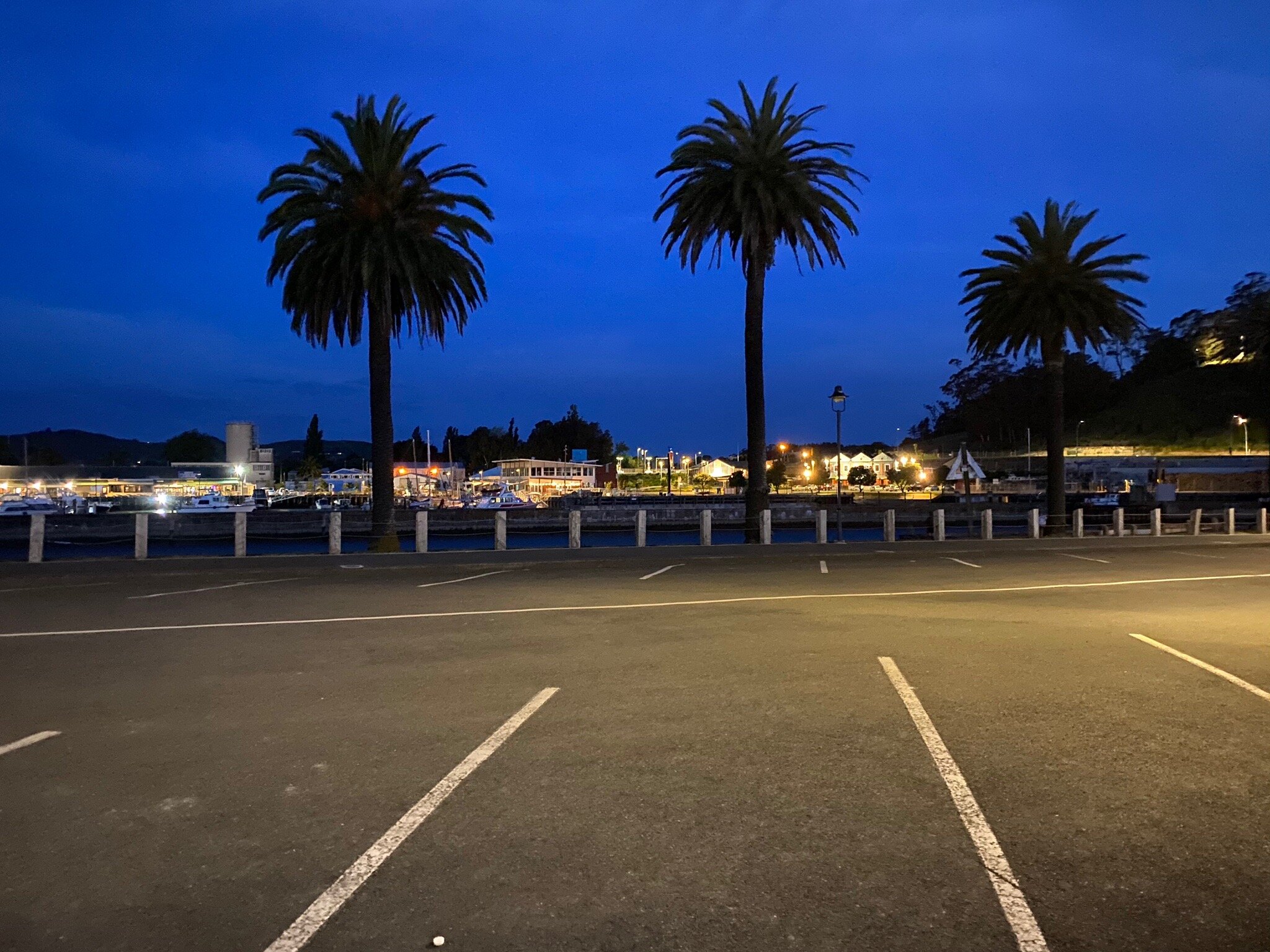 Pacific Harbour Motor Inn-官方