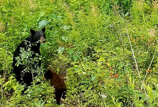 Eddontenajon旅游攻略图片