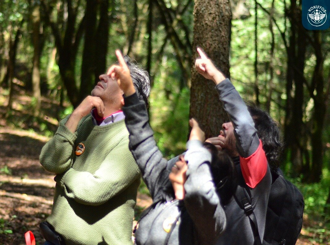 Kokuyos - Estado de México / Senderismo / Recorridos en el bosque / Campamentos-Naucalpan必去景点
