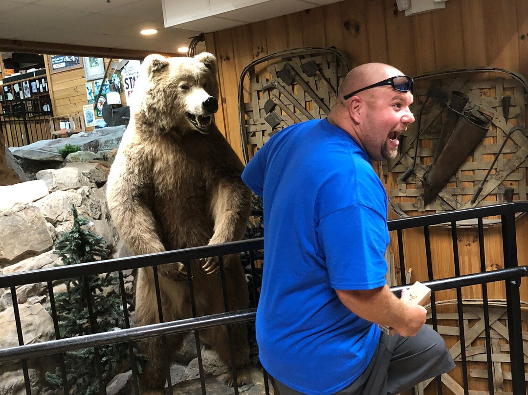 Smoky Mountain Knife Works-塞维尔维尔必去景点