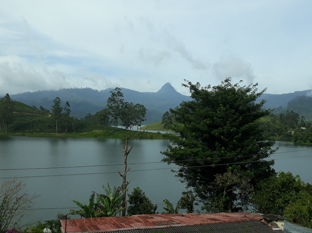 Butterfly Mountain Lake Side主图