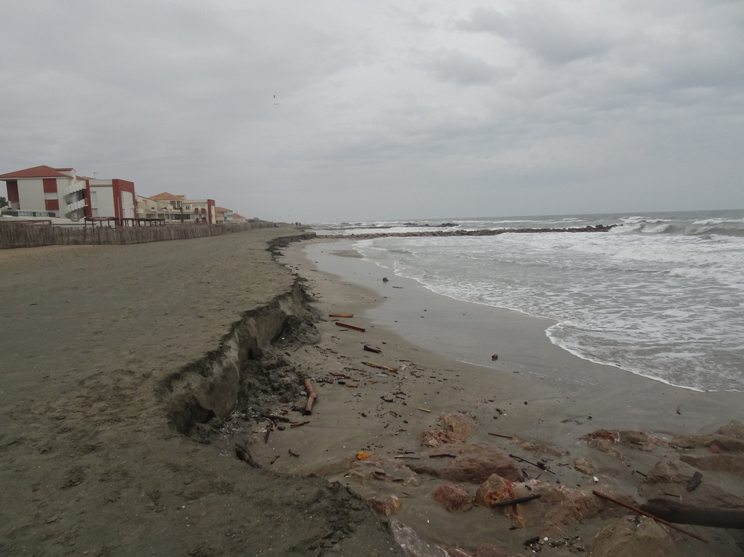 Plage des Aresquiers景点图片