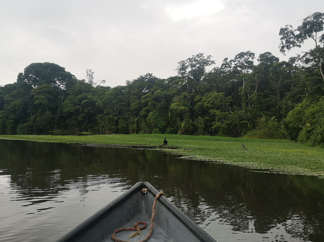 Tortuguero Tours - Adventures close to Nature景点图片