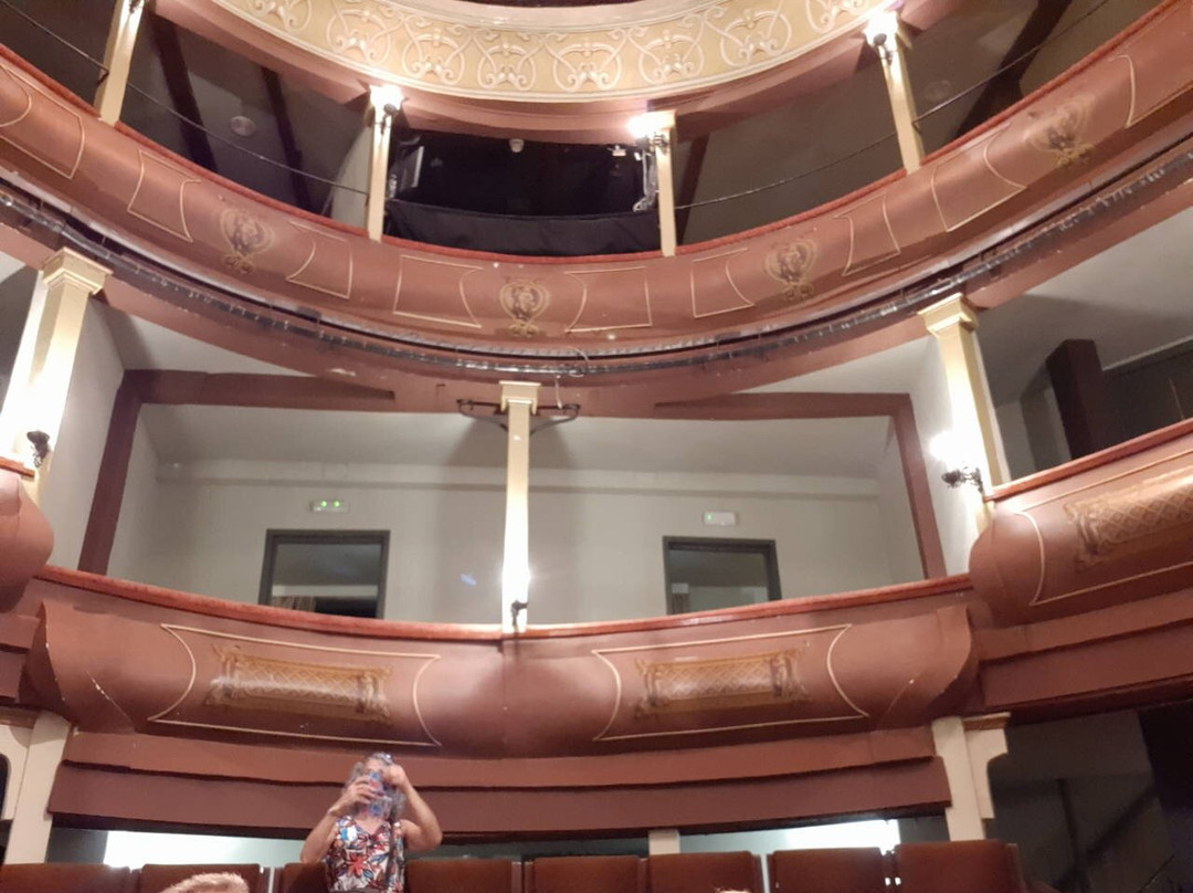 Teatro Salón Cervantes-阿尔卡拉-德-哈纳雷斯必去景点