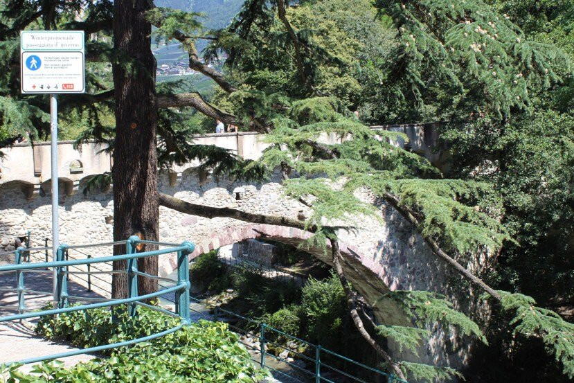 Passeggiata D'inverno景点图片