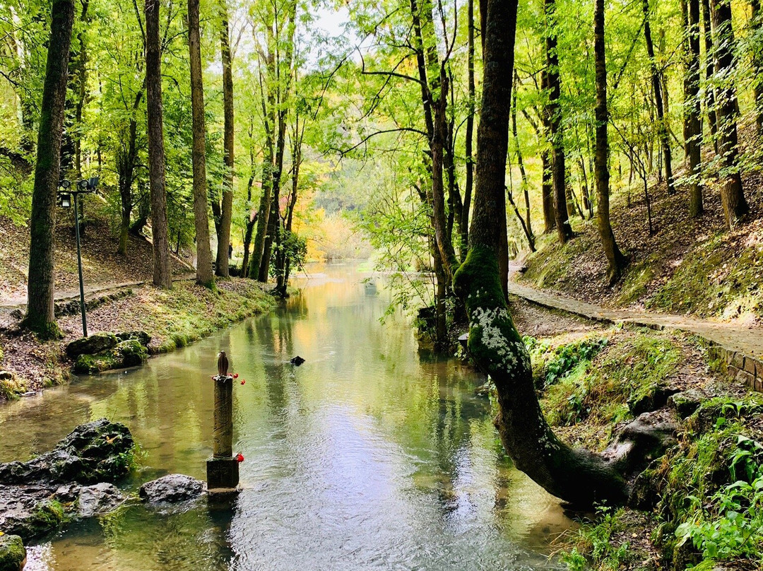 Nacimiento del Río Ebro景点图片