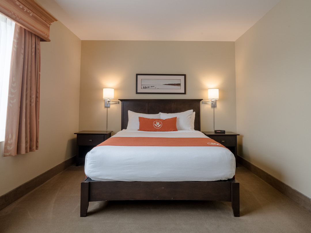 Amsterdam Inn & Suites Sussex主图