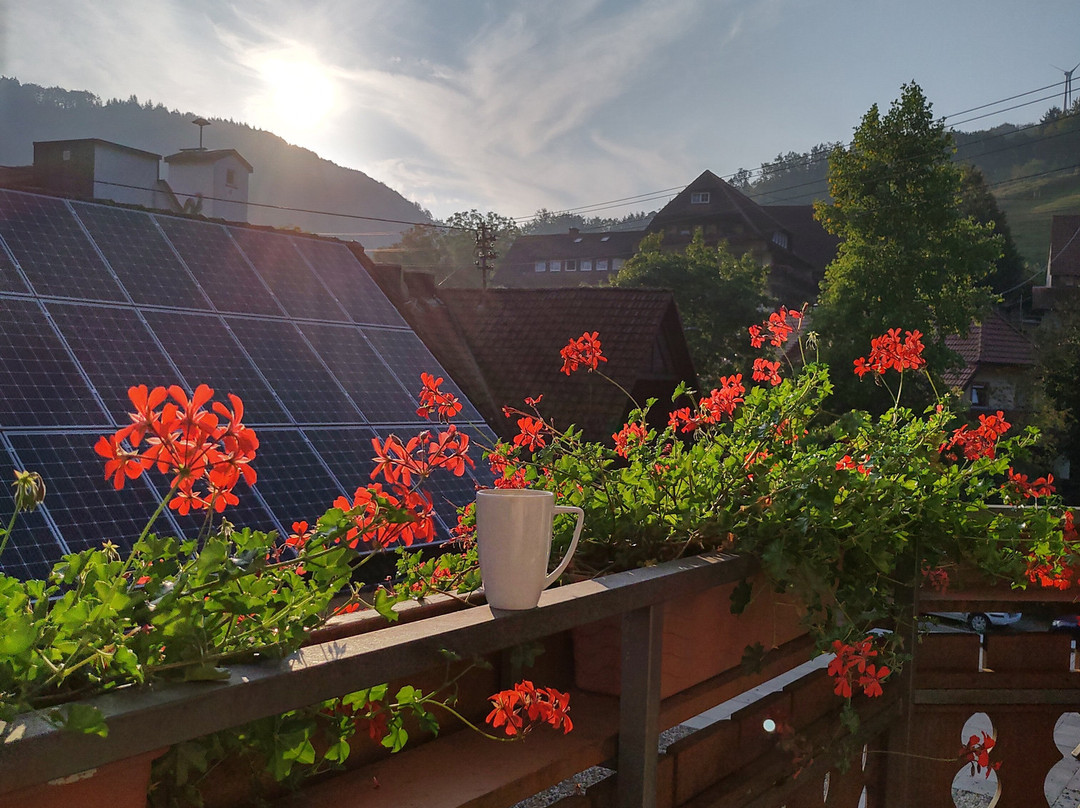 Hotel Ludinmuhle主图