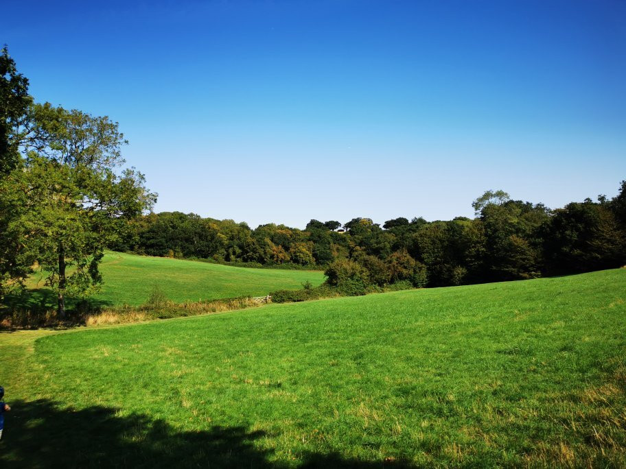 Langdon Hills Country Park景点图片