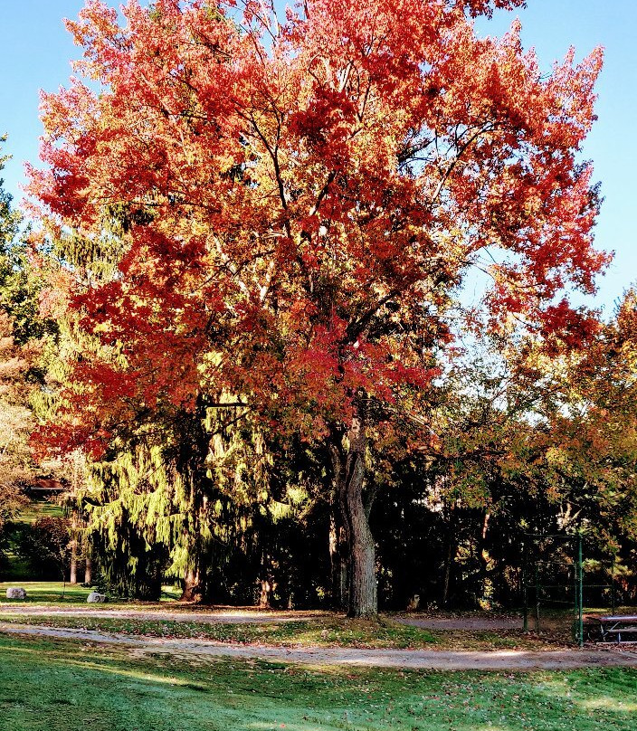 Zelienople Community Park景点图片