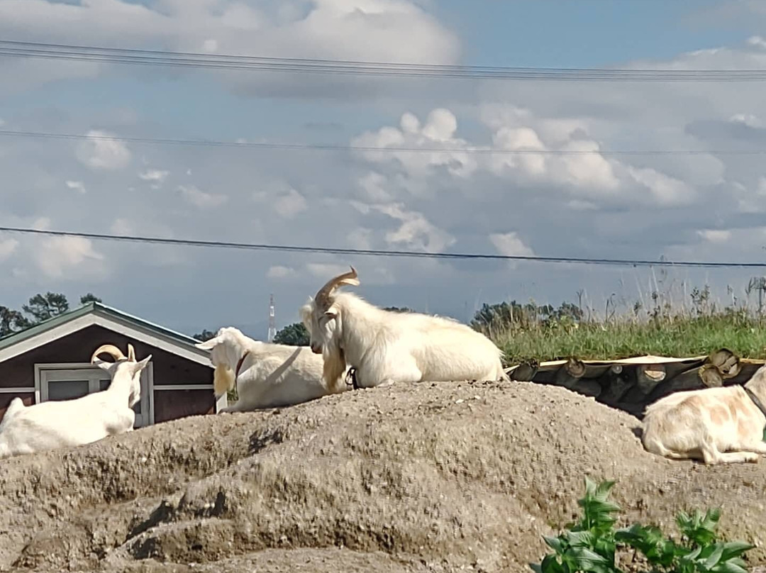 Earth Dream Kakuyama Farm-江别市必去景点