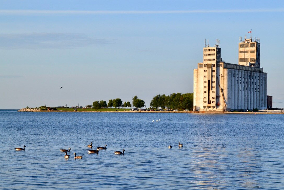 Collingwood Arboretum-科林伍德必去景点