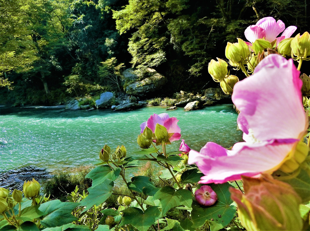 Mitake Valley-青梅市必去景点