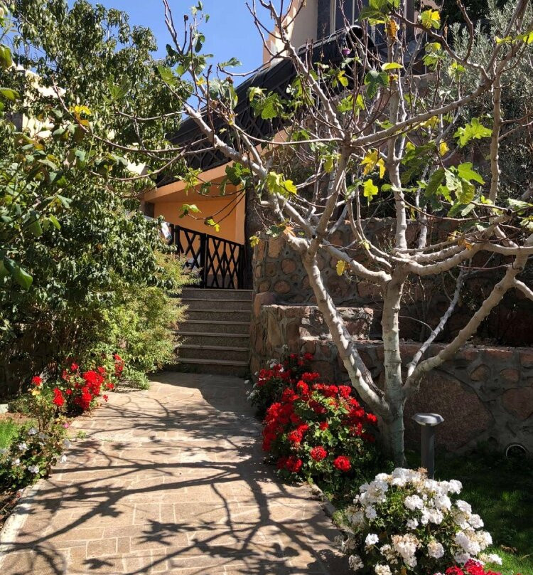 Al Wadi Touristic Resort主图