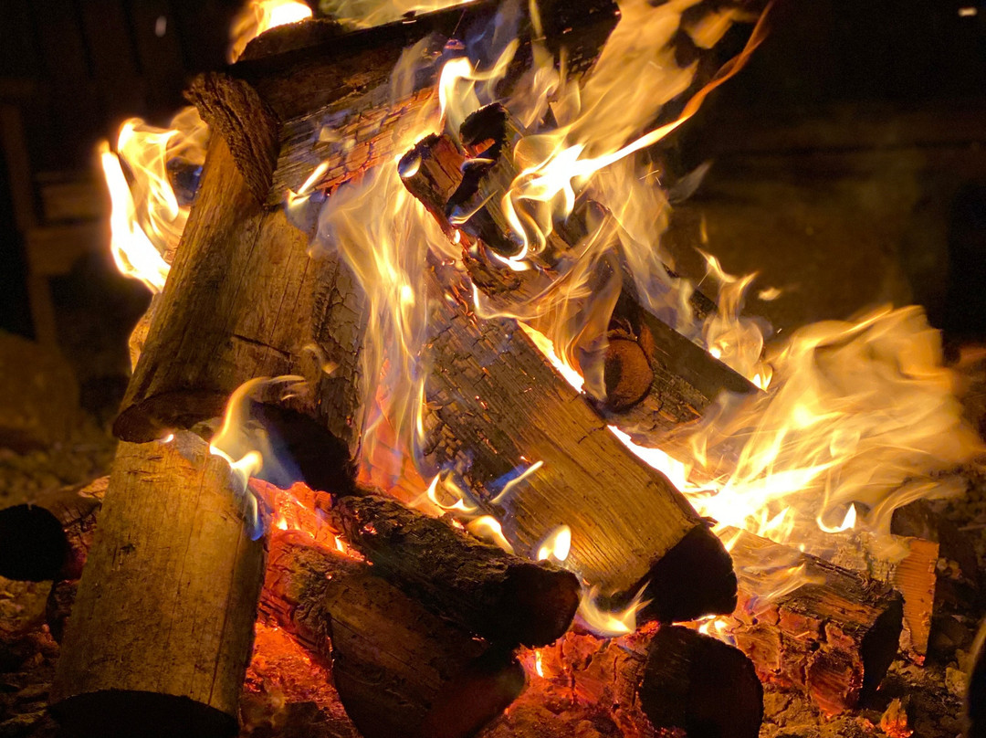 The Arnold House主图