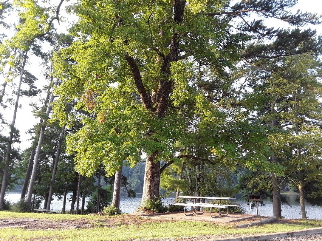 Daingerfield State Park-Daingerfield必去景点