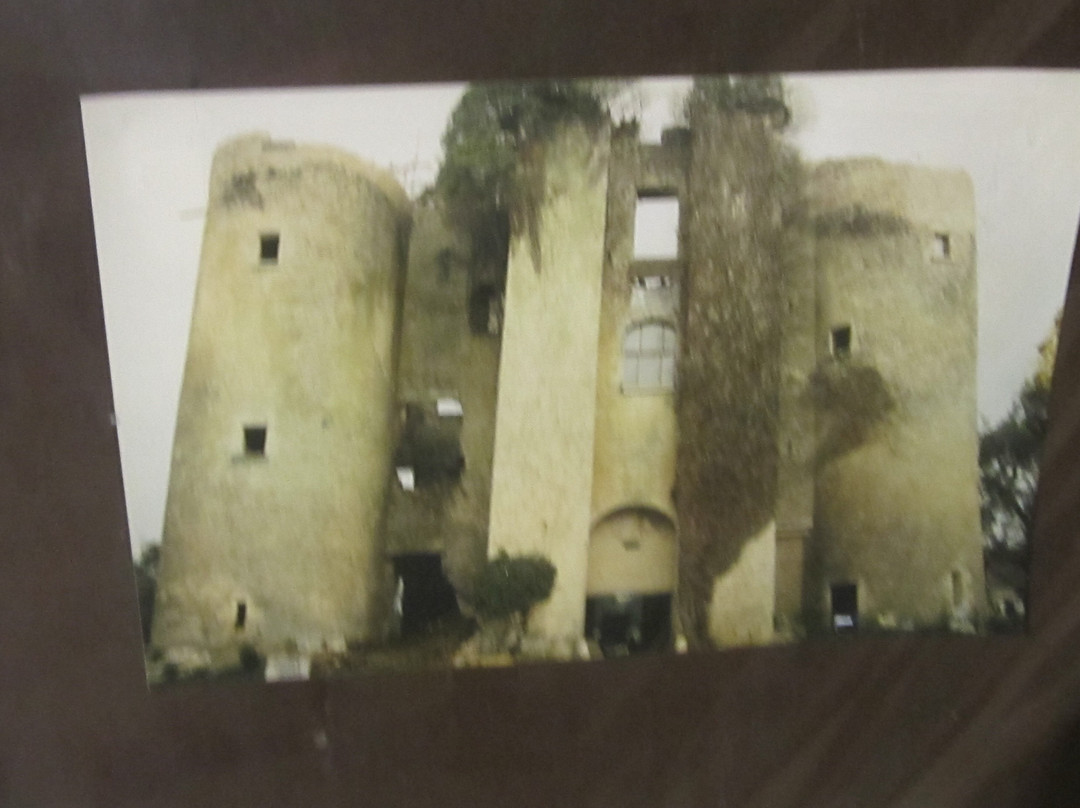 Château de Sagonne景点图片