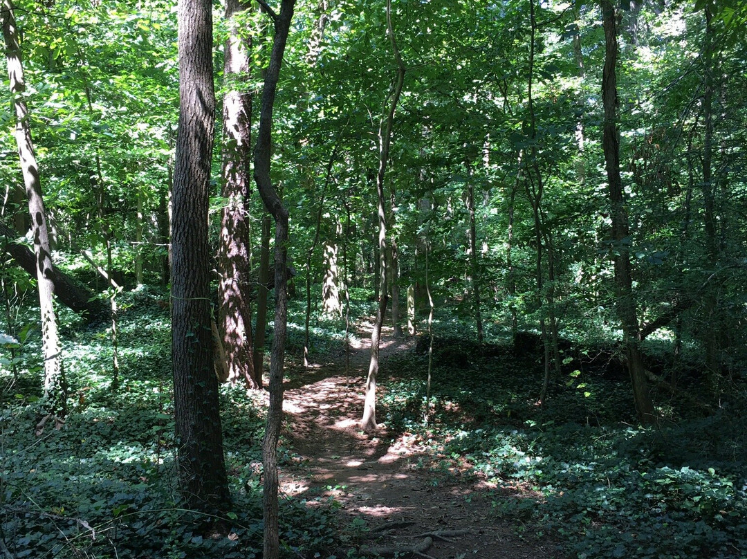Tucker Nature Preserve-Tucker必去景点