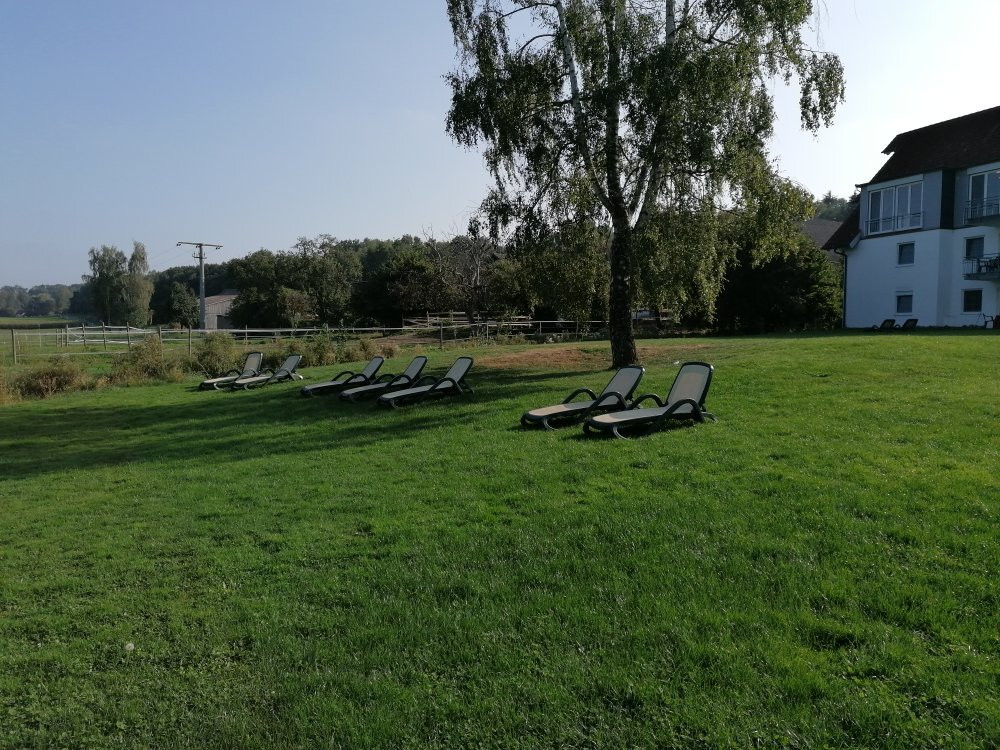 Landhotel Alte Muhle主图