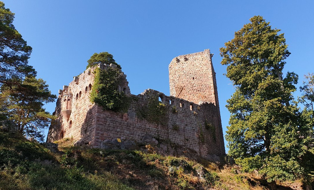 Chateau de Landsberg景点图片