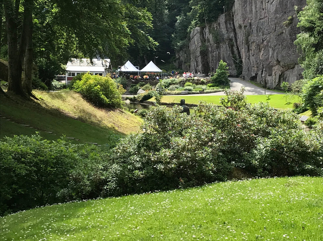 Ravnedalen Naturpark景点图片