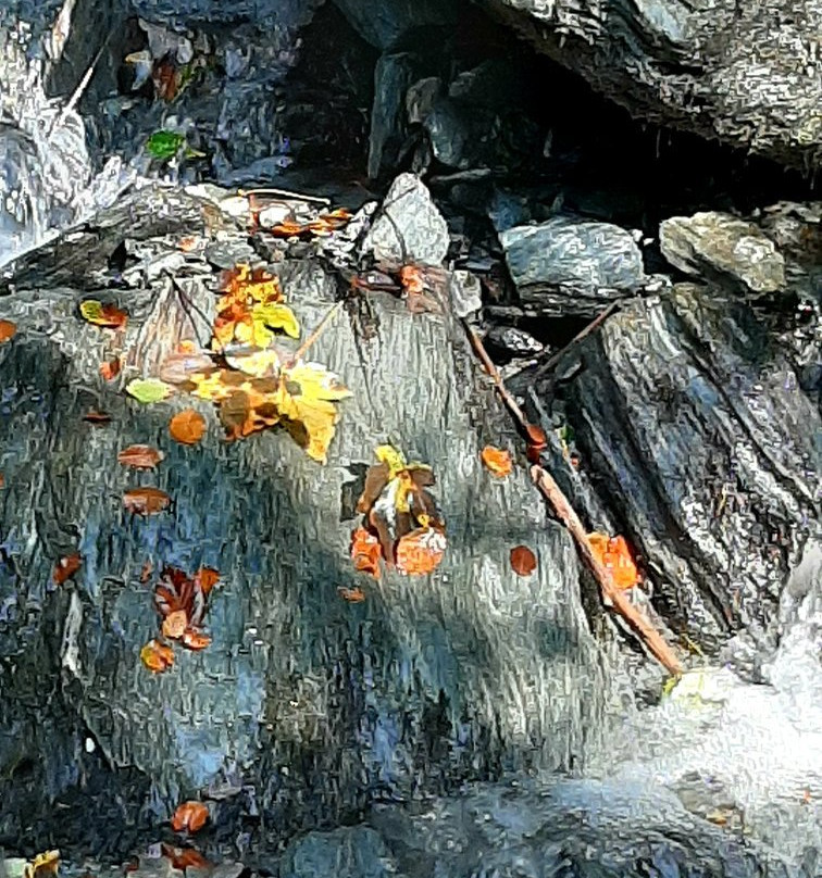 Donnersbachklamm Rundweg-Donnersbach必去景点