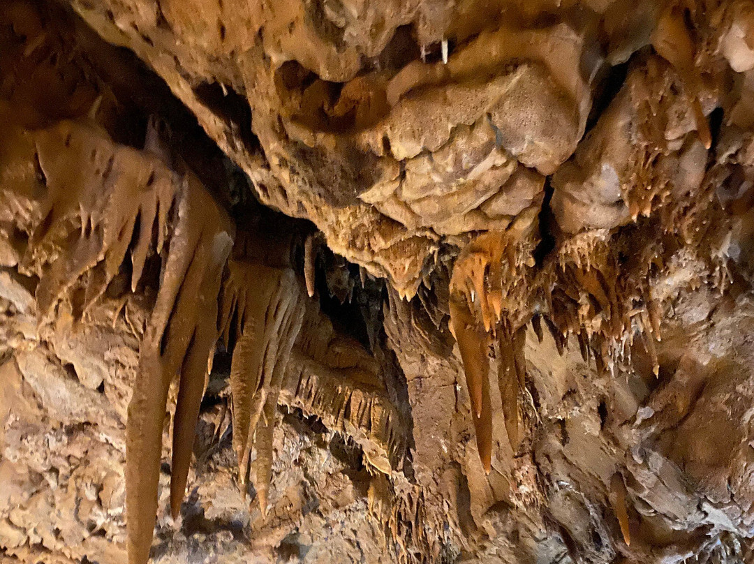 Shasta Lake-沙斯塔湖必去景点