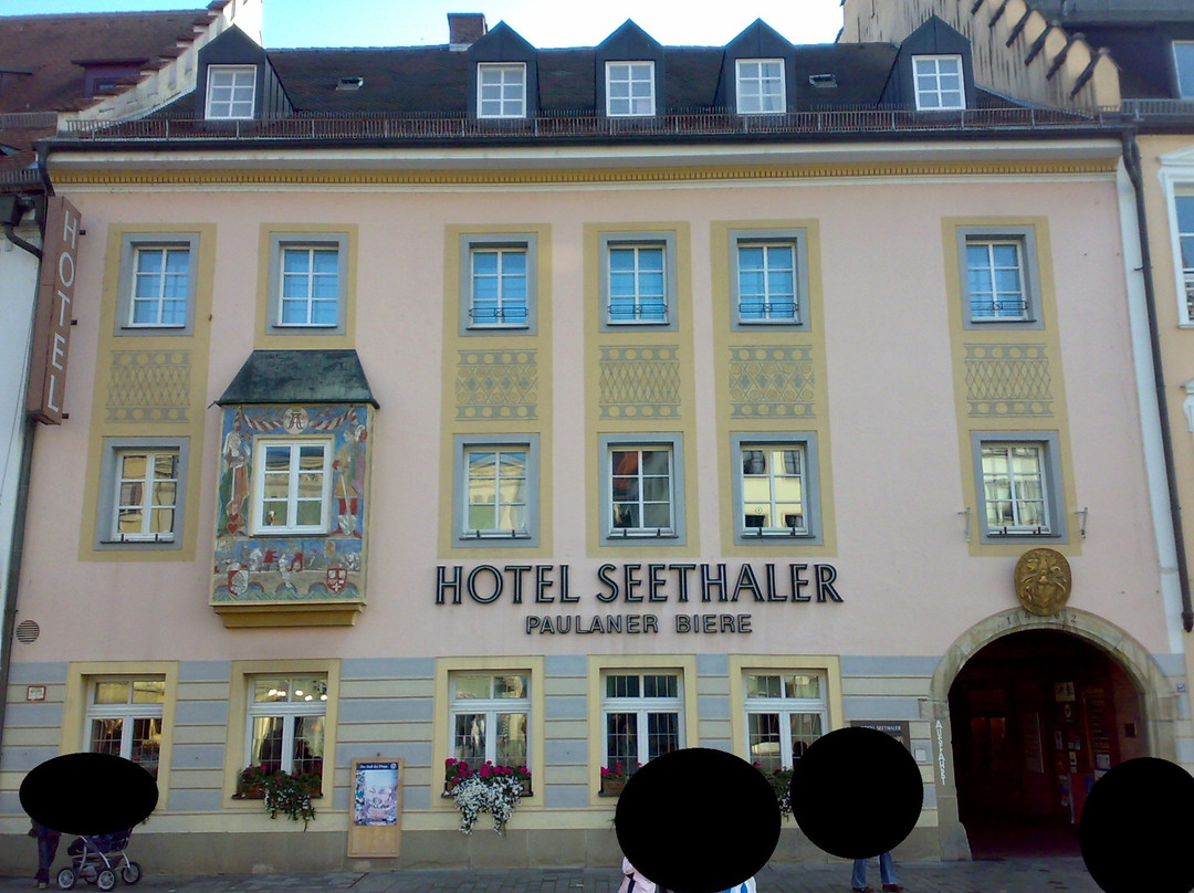Hotel Seethaler主图