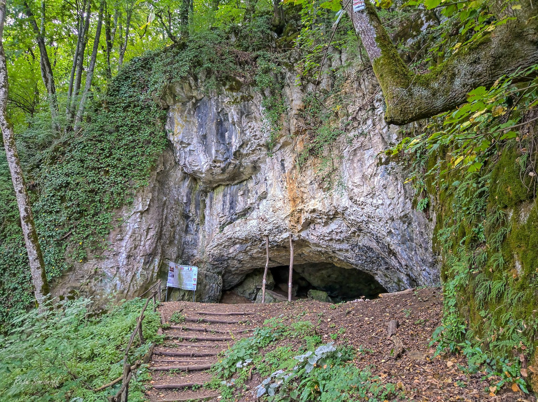 Farasesti旅游攻略图片