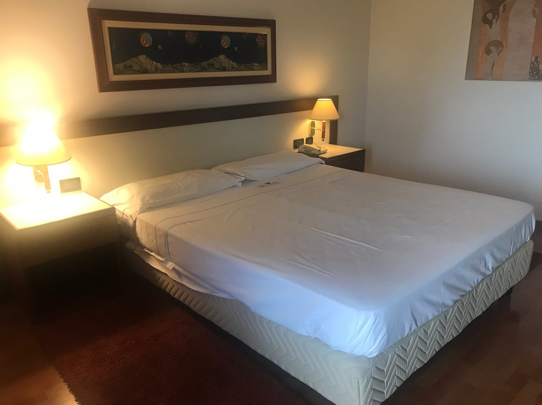 Hotel Arcotel in Casale Monferrato主图