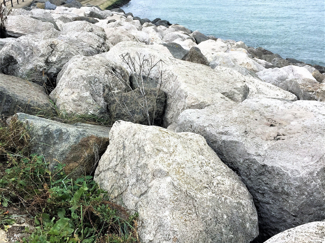Reculver Beach景点图片