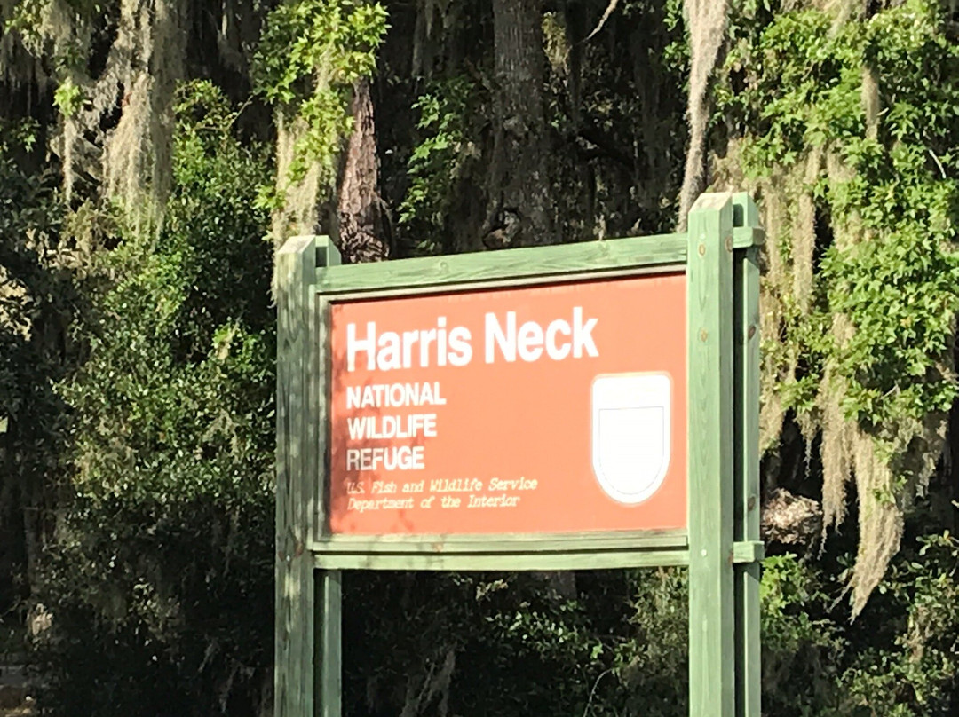 Harris Neck National Wildlife Refuge-萨凡纳必去景点