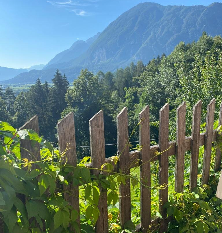 Hotel Gasthof Gribelehof主图