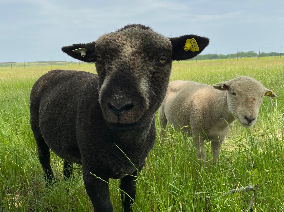 Kalasi Cellars-弗雷德里克斯堡必去景点