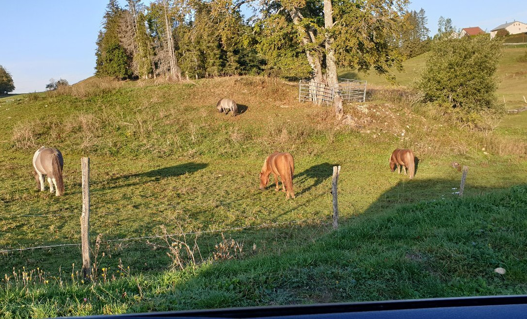 Hotel du Domaine du Mont Saint Jean主图