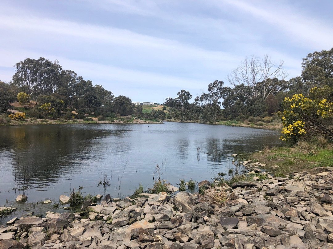 Gleeson Wetlands-克莱尔必去景点