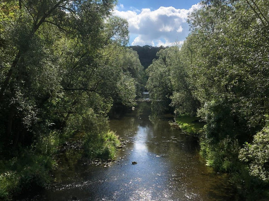 Gretel Von Birne主图