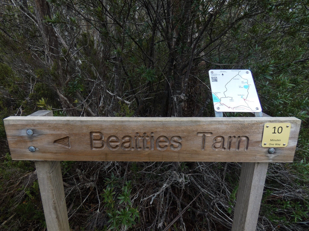 Beatties Tarn景点图片