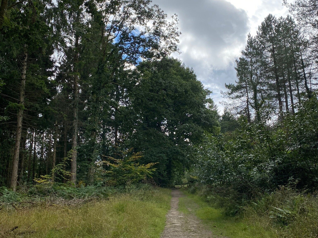 Nagshead Nature Reserve-Parkend必去景点