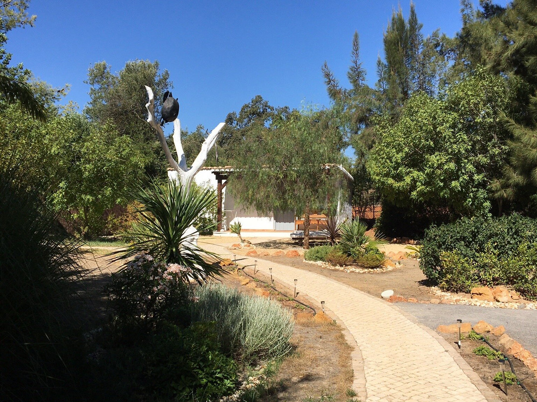 charlotte be my Guest主图