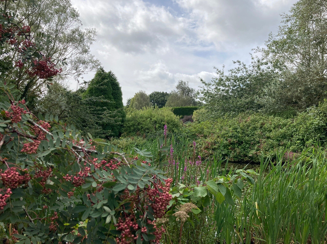 Longframlington Gardens景点图片