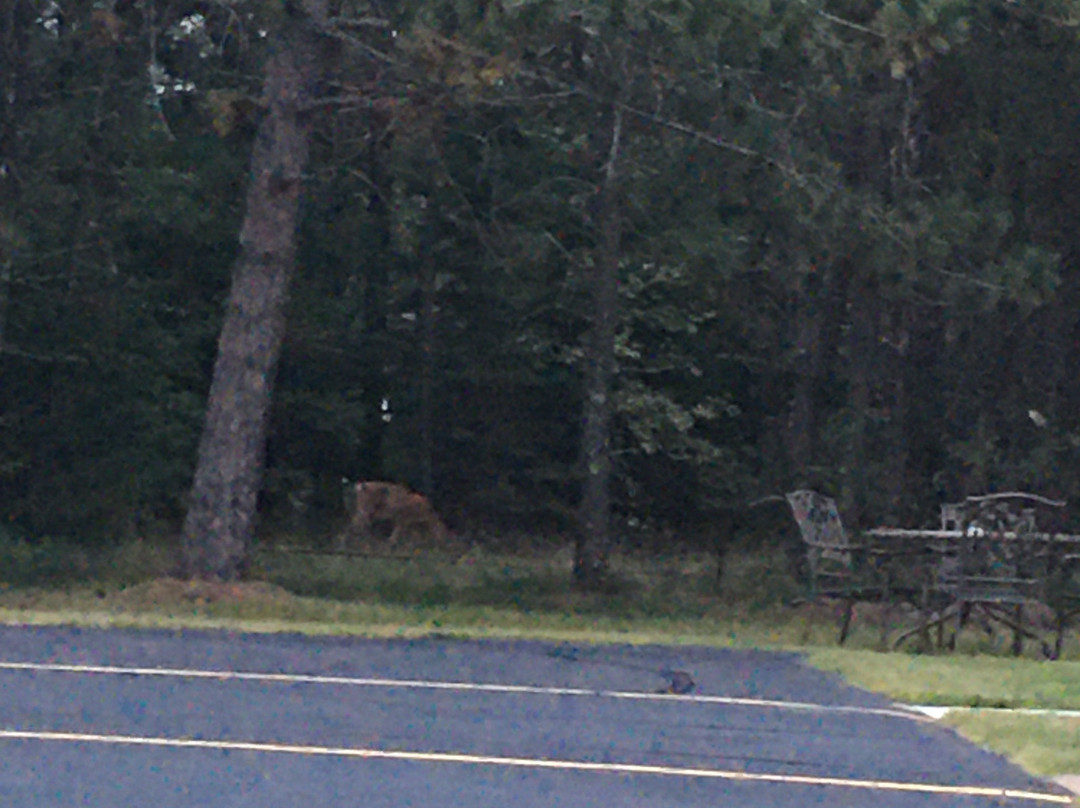 Northwoods Motel主图